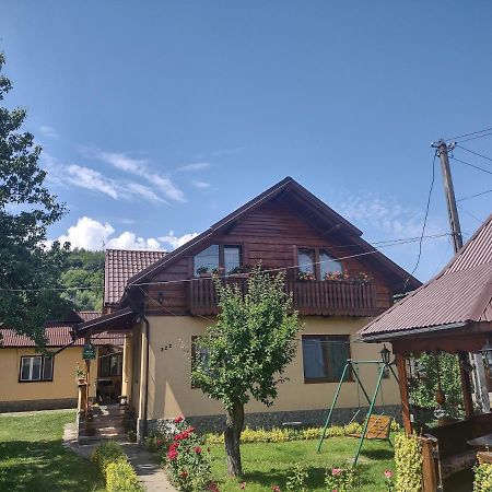 Pensiunea Ghita Vasile Vadu Izei Buitenkant foto