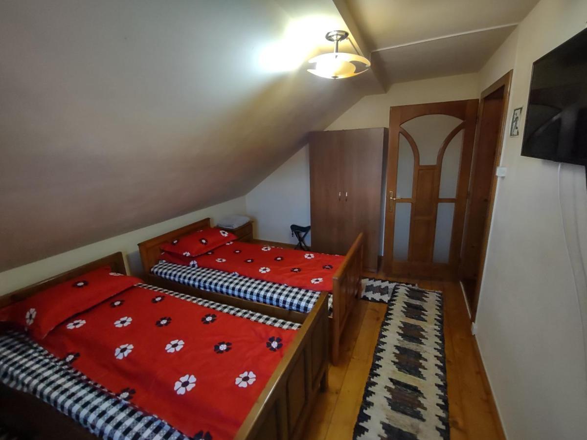 Pensiunea Ghita Vasile Vadu Izei Buitenkant foto