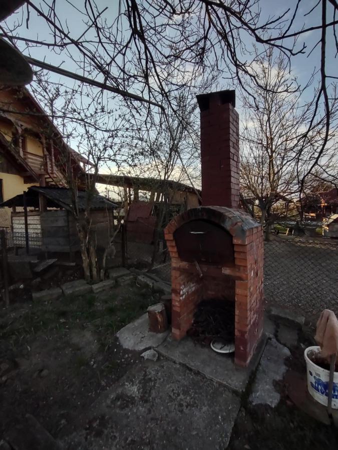 Pensiunea Ghita Vasile Vadu Izei Buitenkant foto