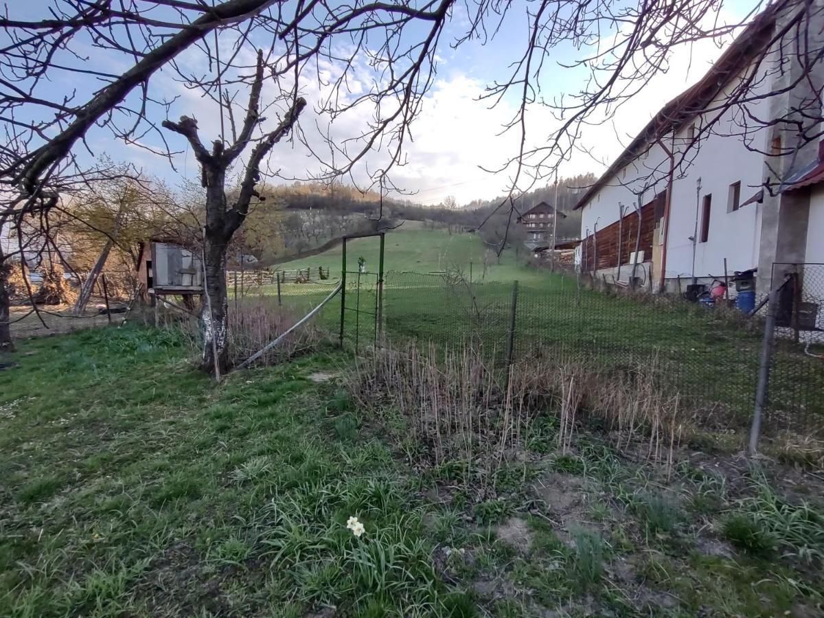 Pensiunea Ghita Vasile Vadu Izei Buitenkant foto