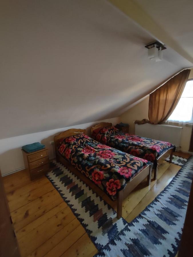 Pensiunea Ghita Vasile Vadu Izei Buitenkant foto