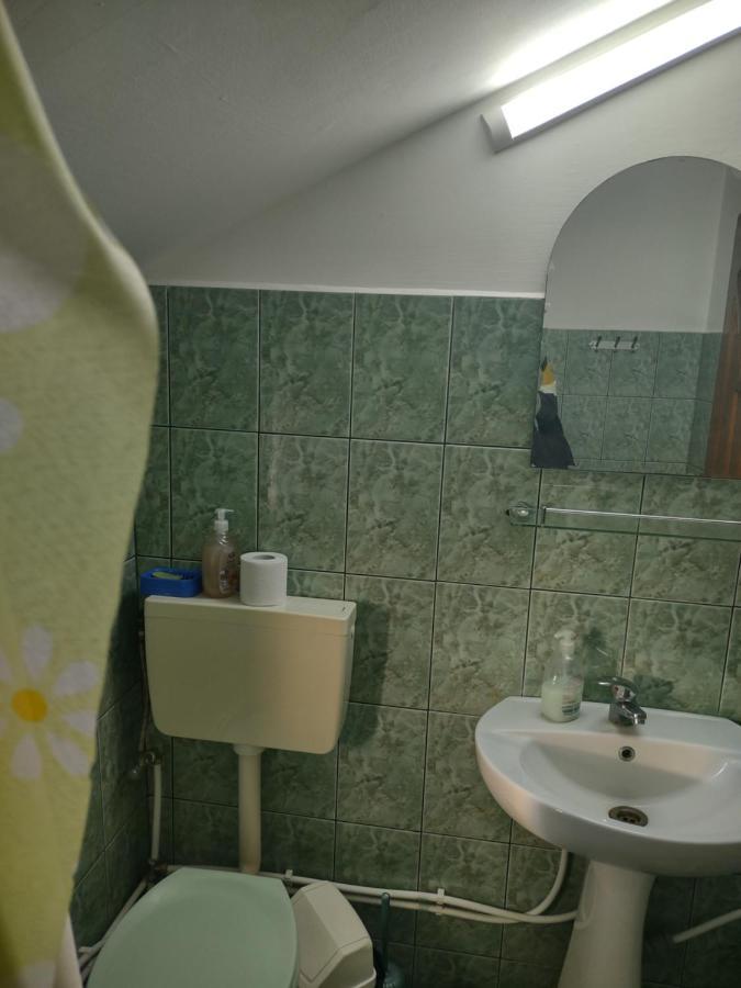 Pensiunea Ghita Vasile Vadu Izei Buitenkant foto