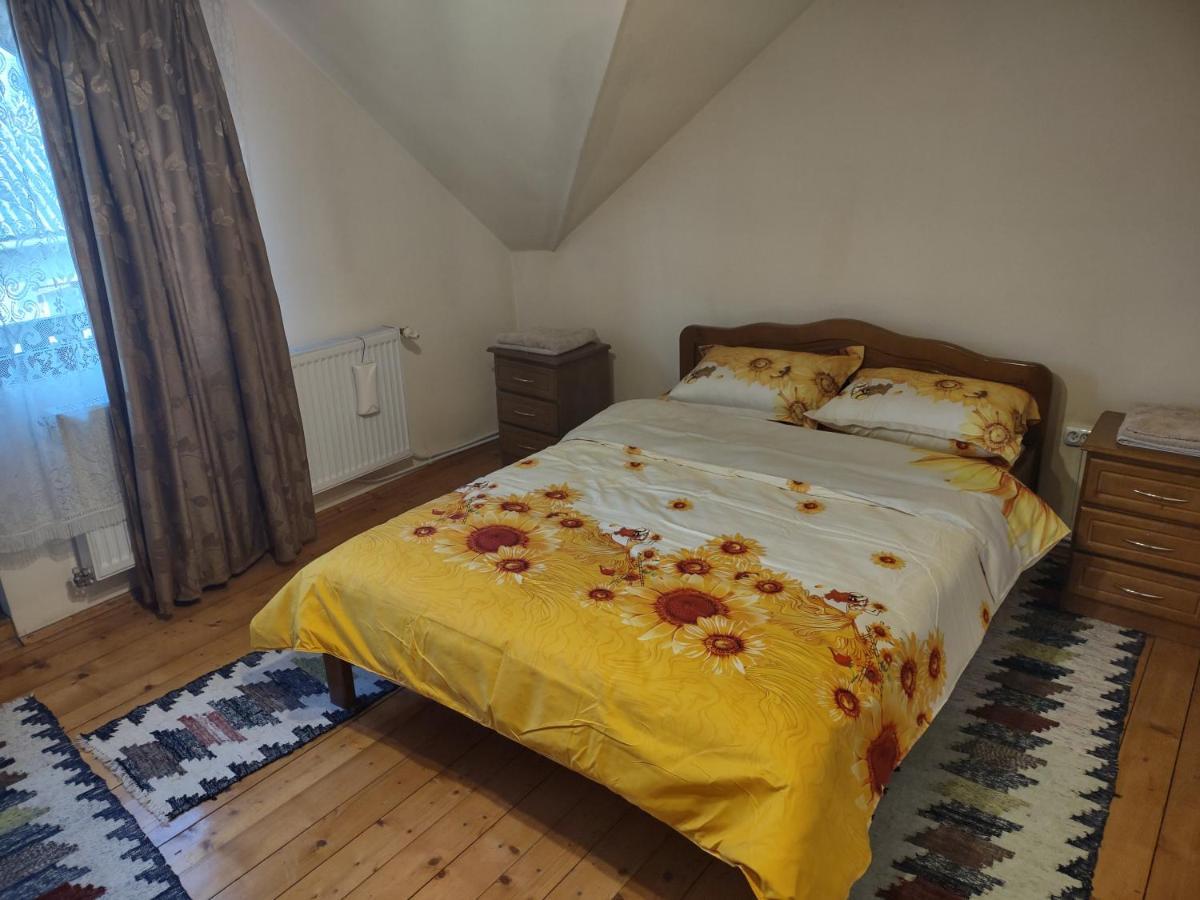 Pensiunea Ghita Vasile Vadu Izei Buitenkant foto