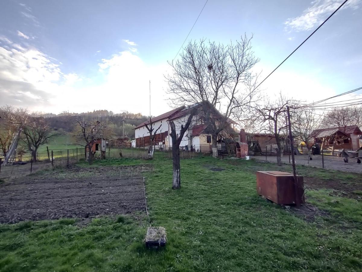 Pensiunea Ghita Vasile Vadu Izei Buitenkant foto