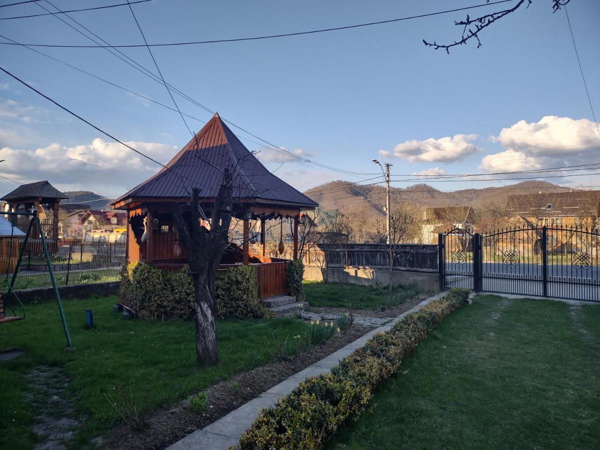 Pensiunea Ghita Vasile Vadu Izei Buitenkant foto