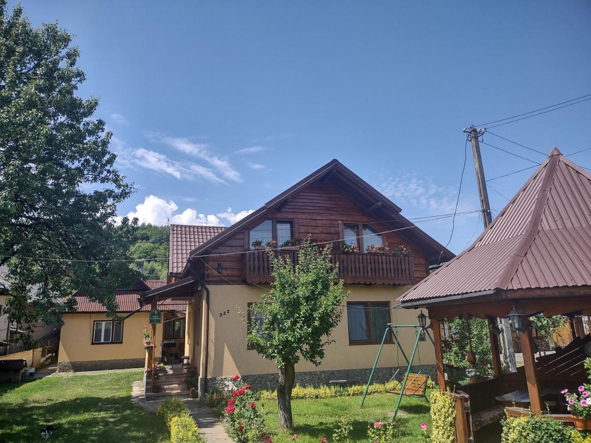 Pensiunea Ghita Vasile Vadu Izei Buitenkant foto