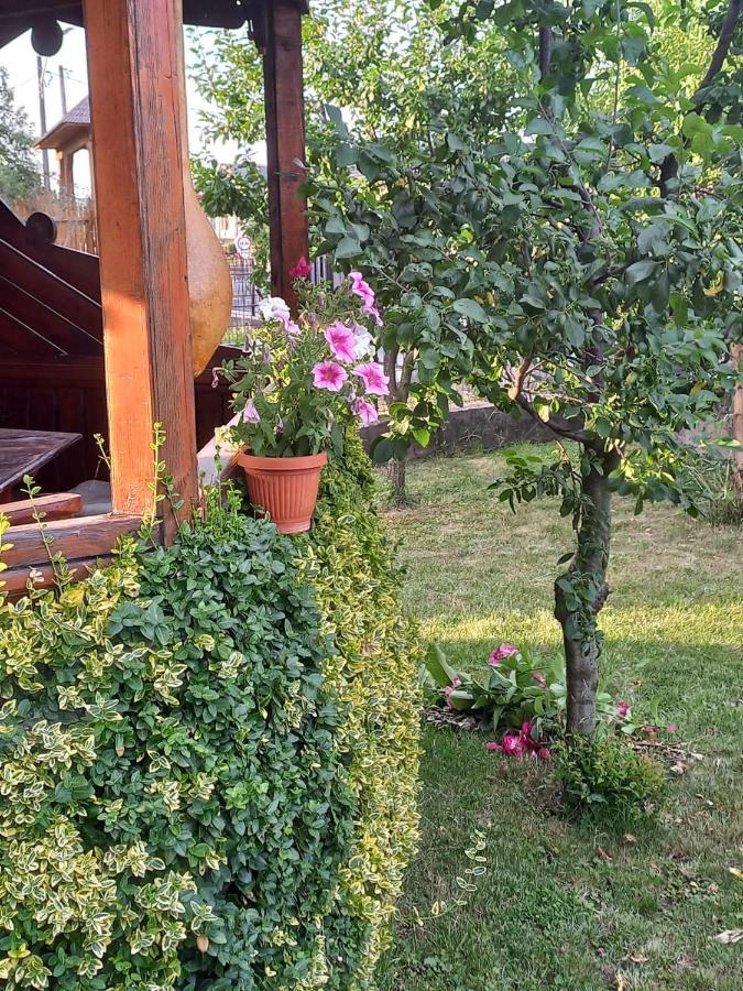 Pensiunea Ghita Vasile Vadu Izei Buitenkant foto