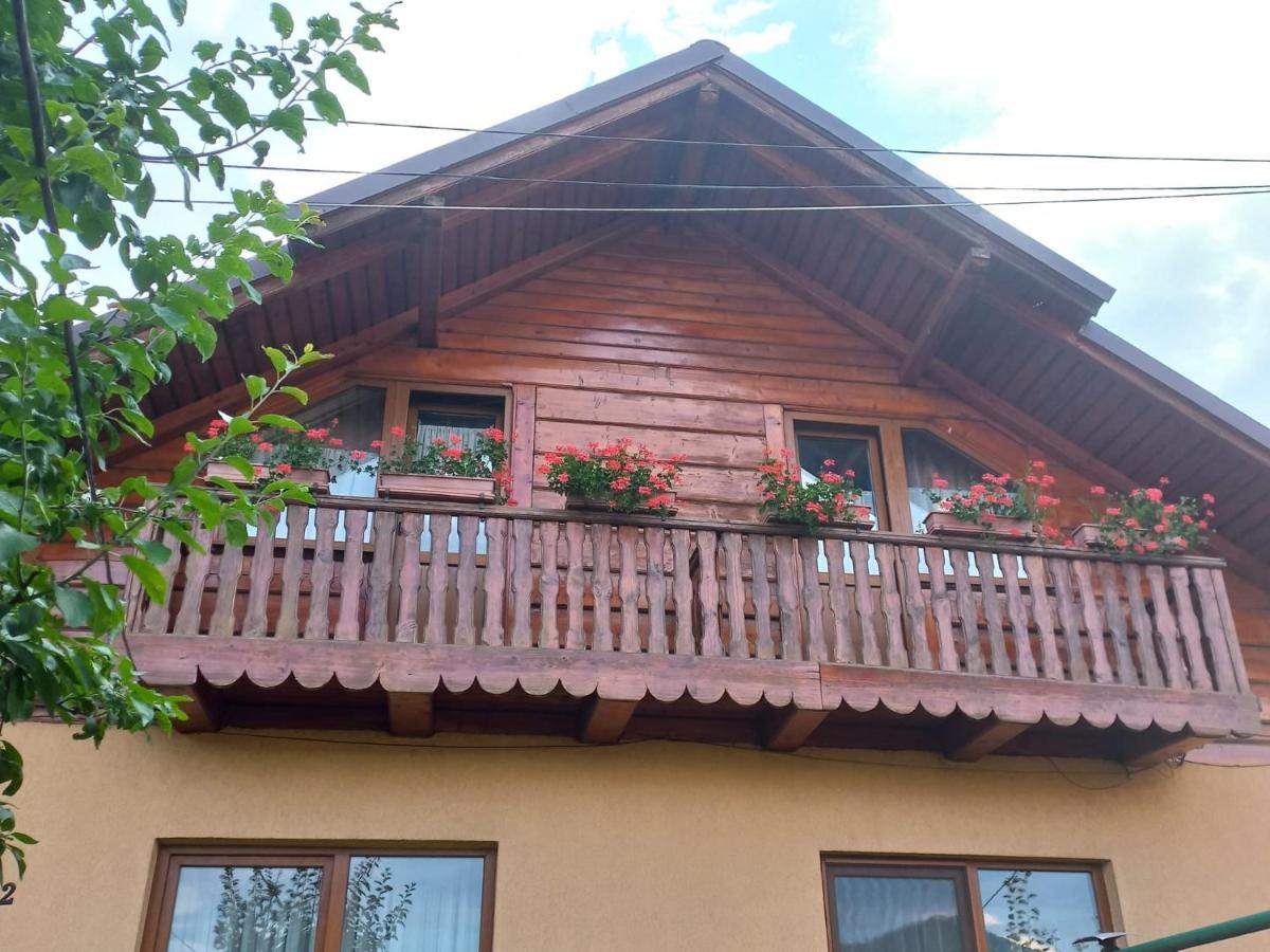 Pensiunea Ghita Vasile Vadu Izei Buitenkant foto