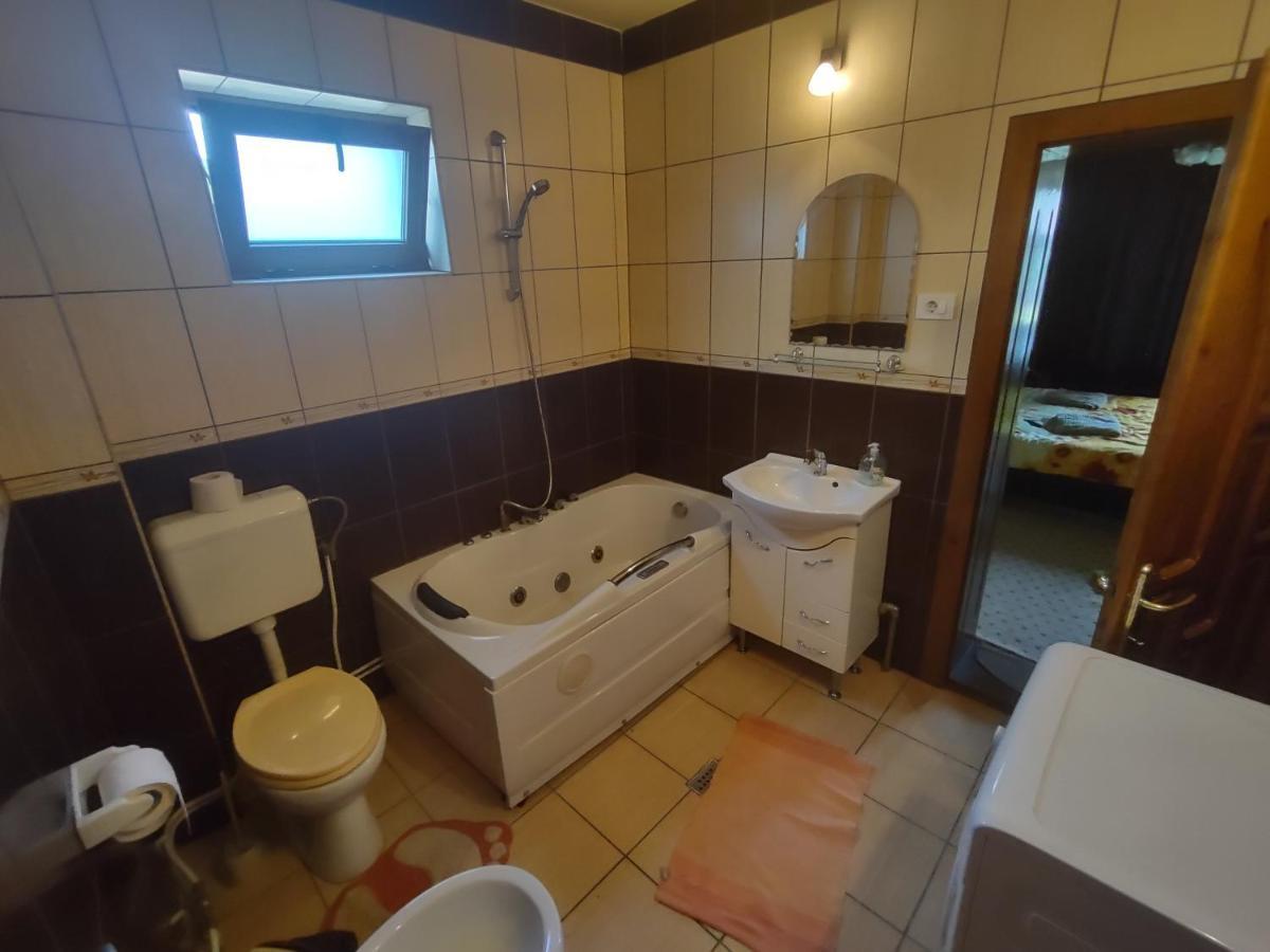 Pensiunea Ghita Vasile Vadu Izei Buitenkant foto