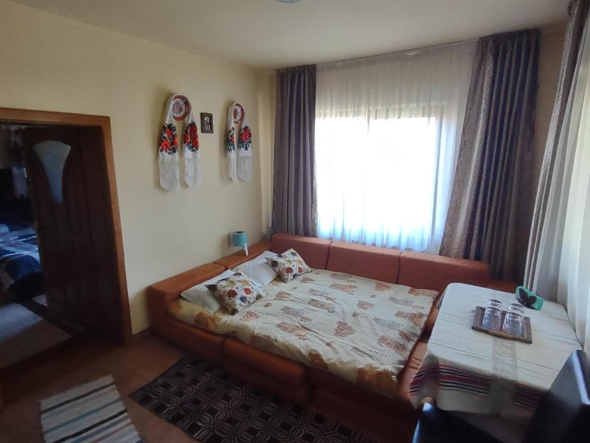 Pensiunea Ghita Vasile Vadu Izei Buitenkant foto